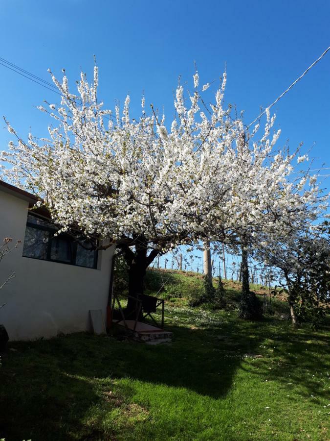 Apartmán Il Ciliegio Del Pellegrino Gubbio Exteriér fotografie